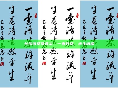 长沙清茶涤尘心，半生闲适品茶香